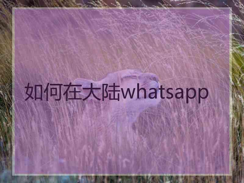 如何在大陆whatsapp